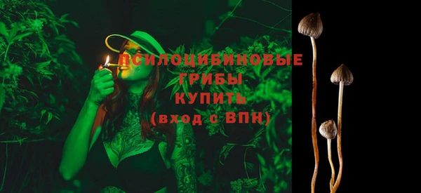 2c-b Пересвет