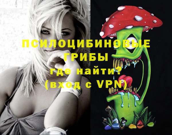spice Баксан