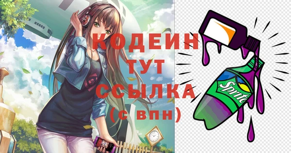 mdpv Переславль-Залесский